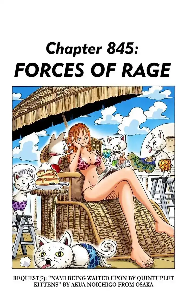 One Piece - Digital Colored Comics Chapter 845 1